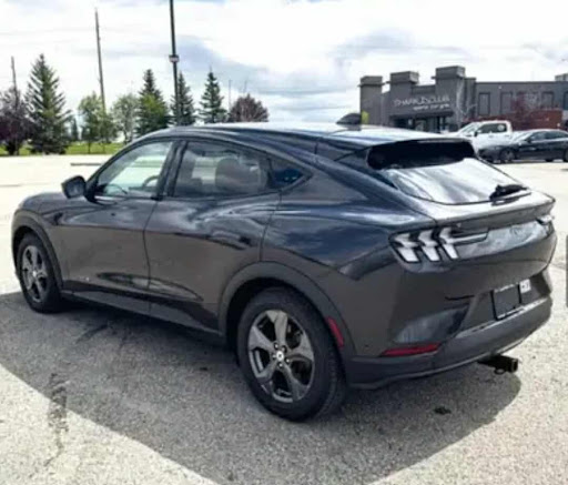 Photo from customer review